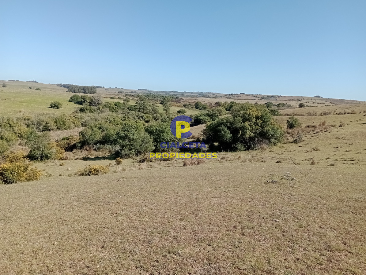 Campo Ref.98 - 125 hectáreas en Rocha