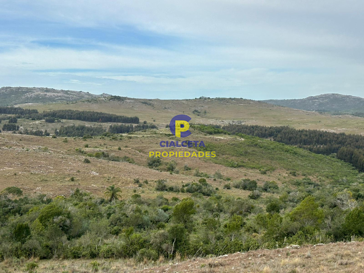 Campo Ref.441 - 200 hectáreas con muy buena vista