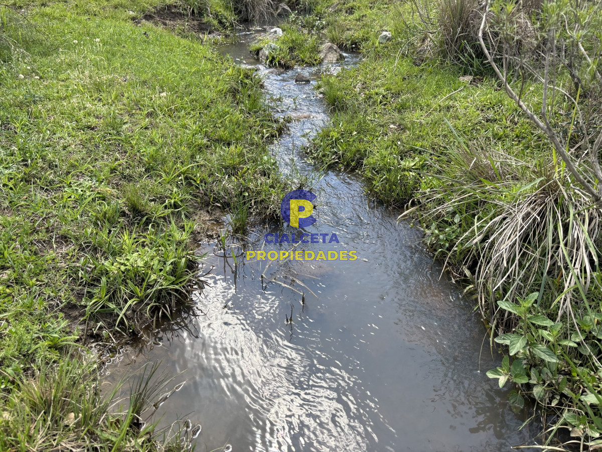 Campo Ref.534 - 3 hectáreas con cañada a 25 km de San Carlos, financiadas