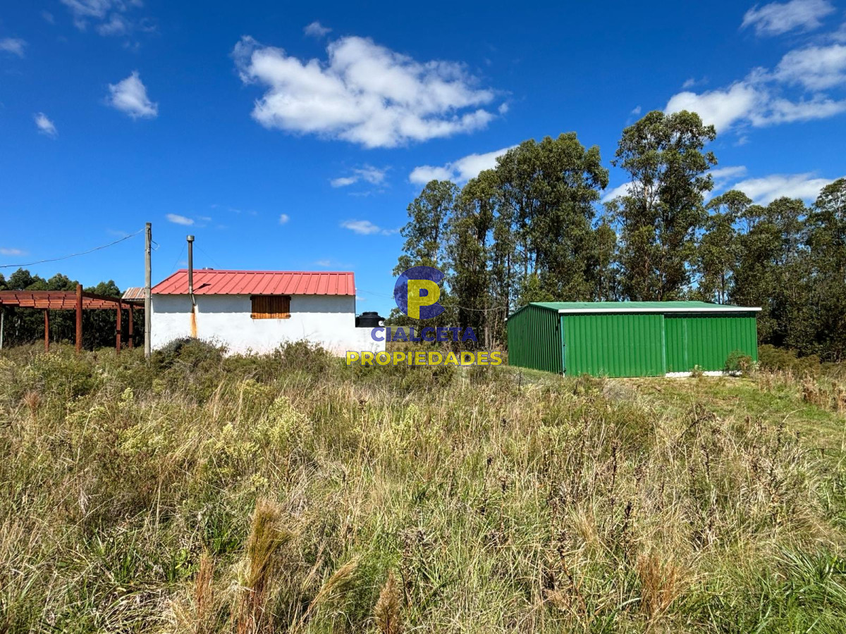 Campo Ref.567 - Linda fracción de 16 hectáreas y media con casa y galpón, buen acceso