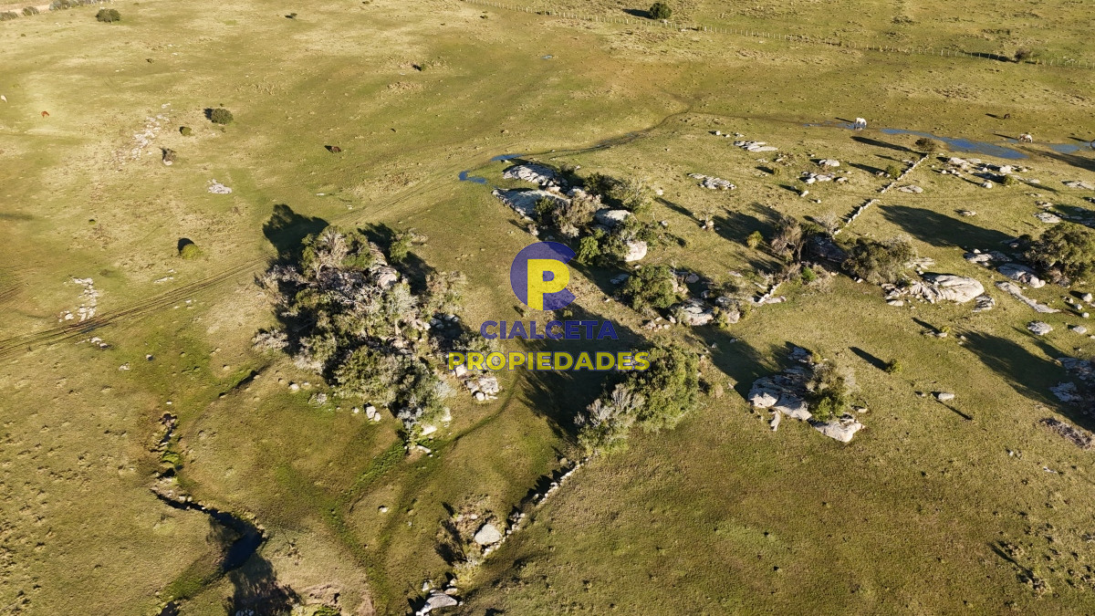 Campo Ref.512 - 55 hectáreas con tajamar y monte nativo