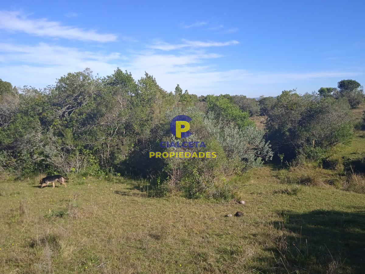 Campo Ref.52 - 5 hectáreas, Las Palmas