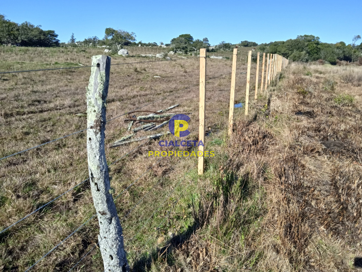 Campo Ref.283 - 273 hectáreas y media en Lavalleja