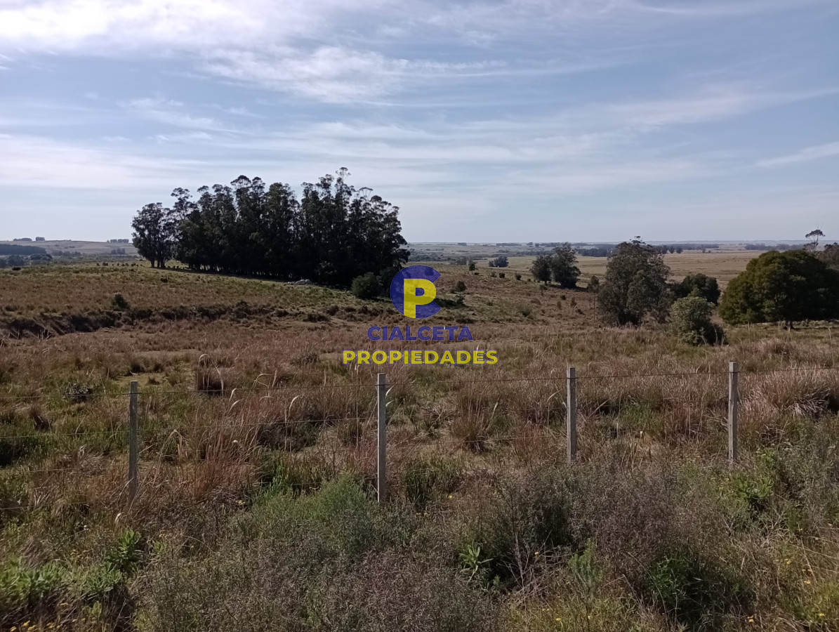 Campo Ref.381 - 315 hectáreas en Rocha
