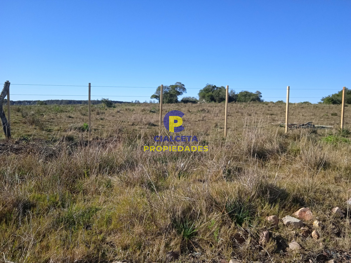 Campo Ref.283 - 273 hectáreas y media en Lavalleja