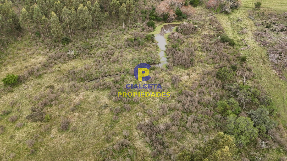 Campo Ref.449 - 39 hectáreas y media en Canelones