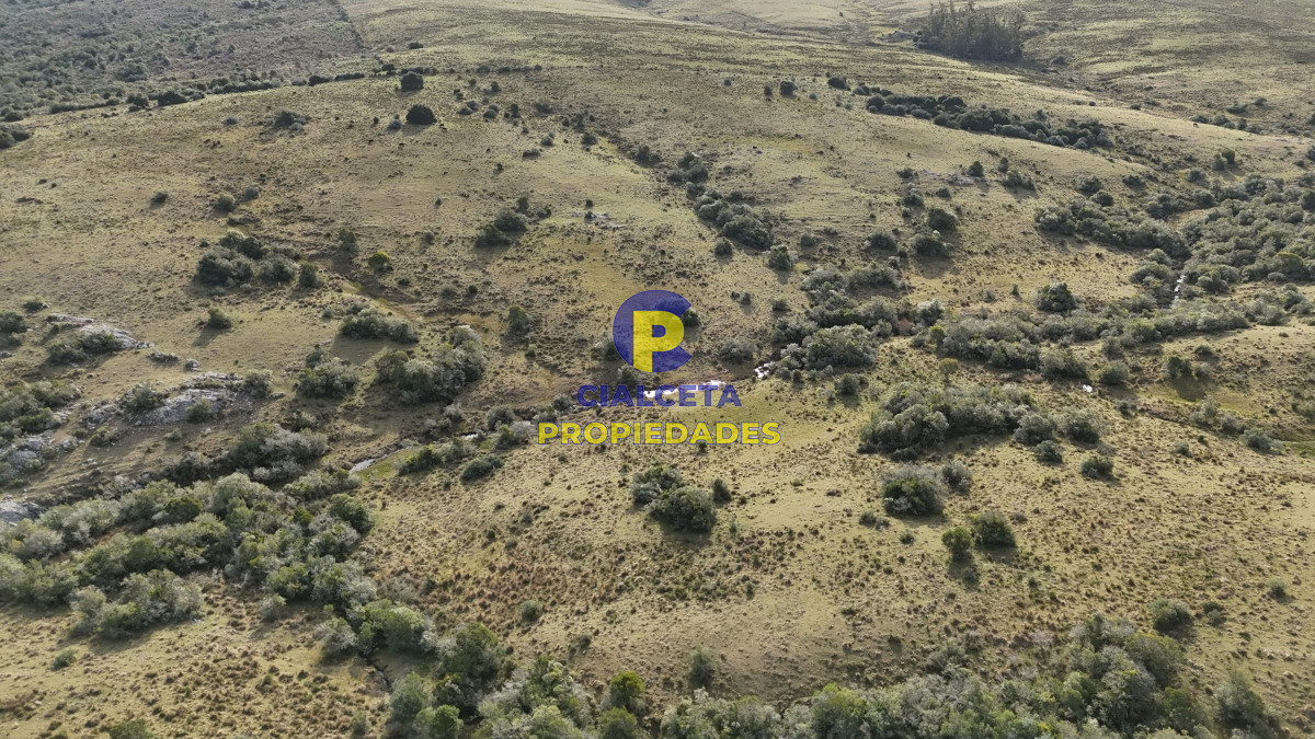 95 hectáreas en Maldonado con cañada - GoPunta - Portal Inmobiliario de Punta del Este - Maldonado