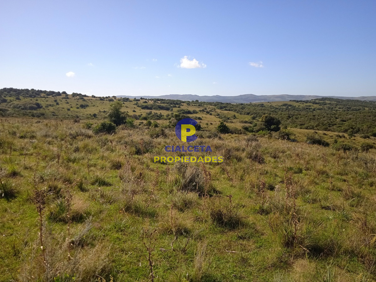 Campo Ref.127 - 35 hectáreas en Maldonado