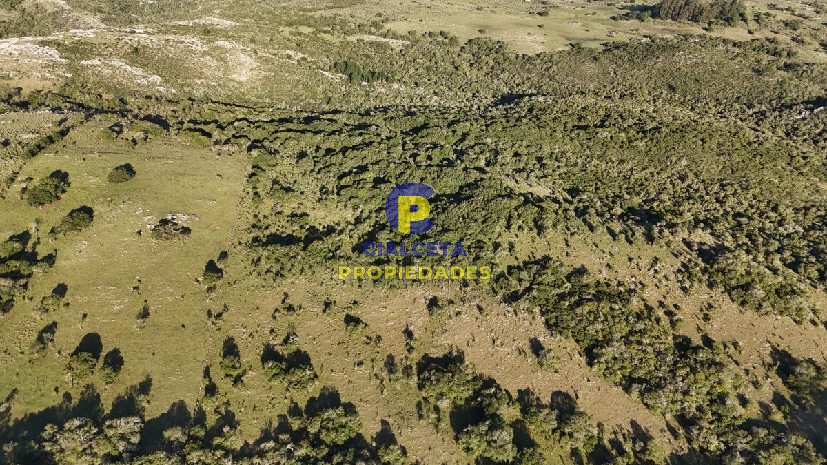 Campo Ref.526 - 60 hectáreas con casa , monte nativo, hermoso lugar