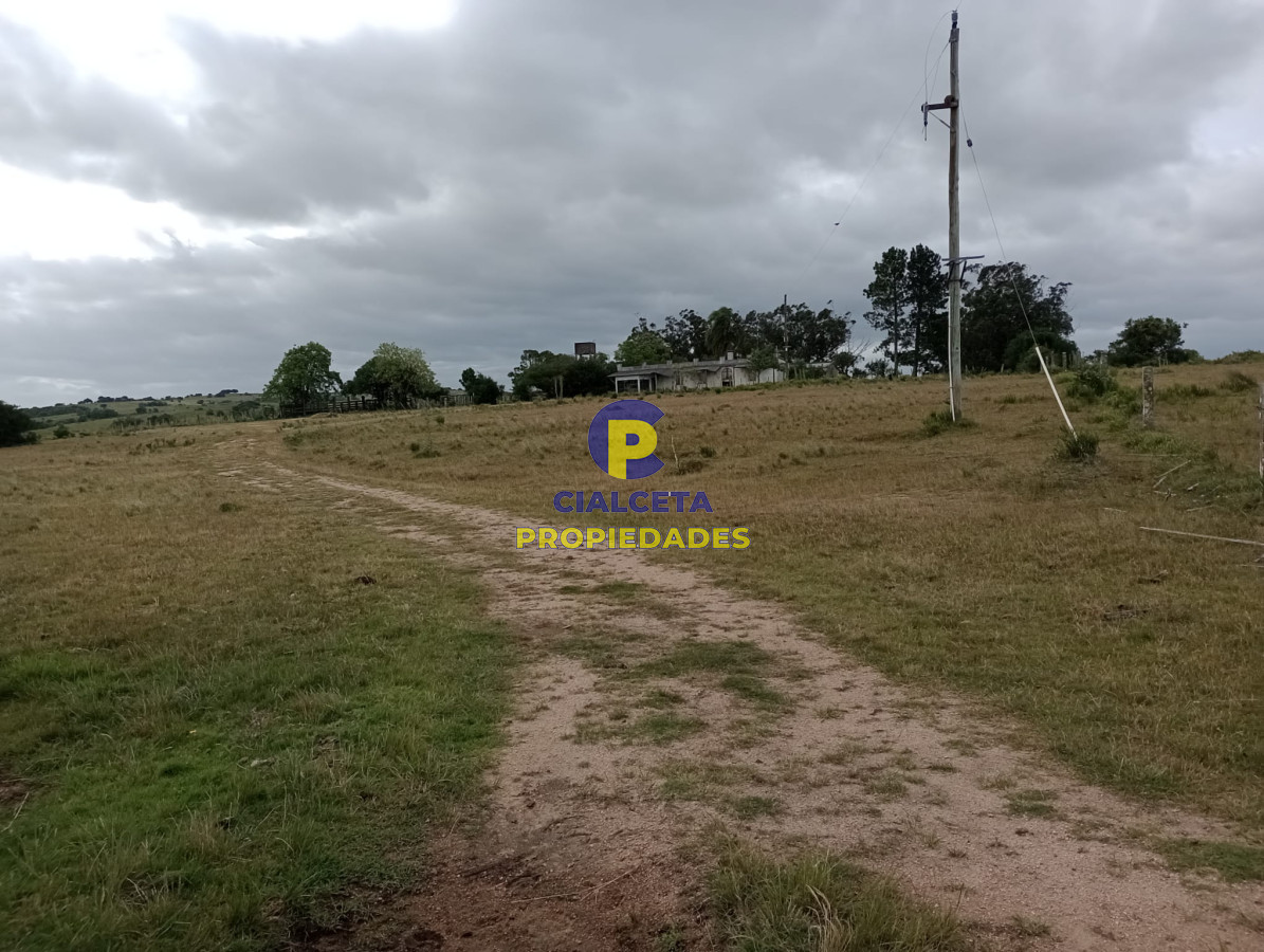 Campo Ref.358 - 198 hectáreas en Garzón