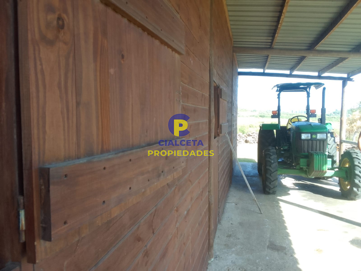 Campo Ref.88 - 330 hectáreas en Maldonado