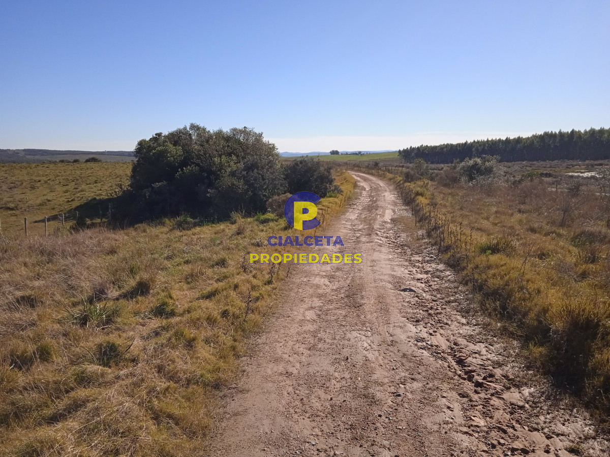 Campo Ref.283 - 273 hectáreas y media en Lavalleja