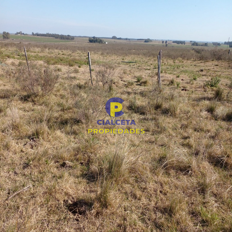 Campo Ref.97 - 130 hectáreas en Canelones
