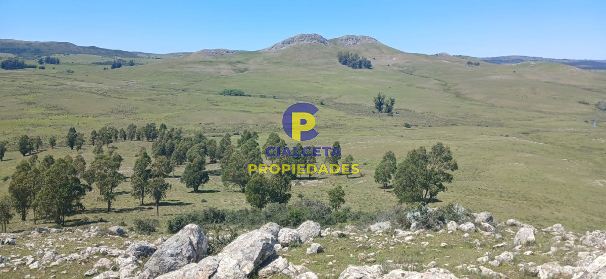 Campo Ref.324 - 215 hectáreas en Lavalleja