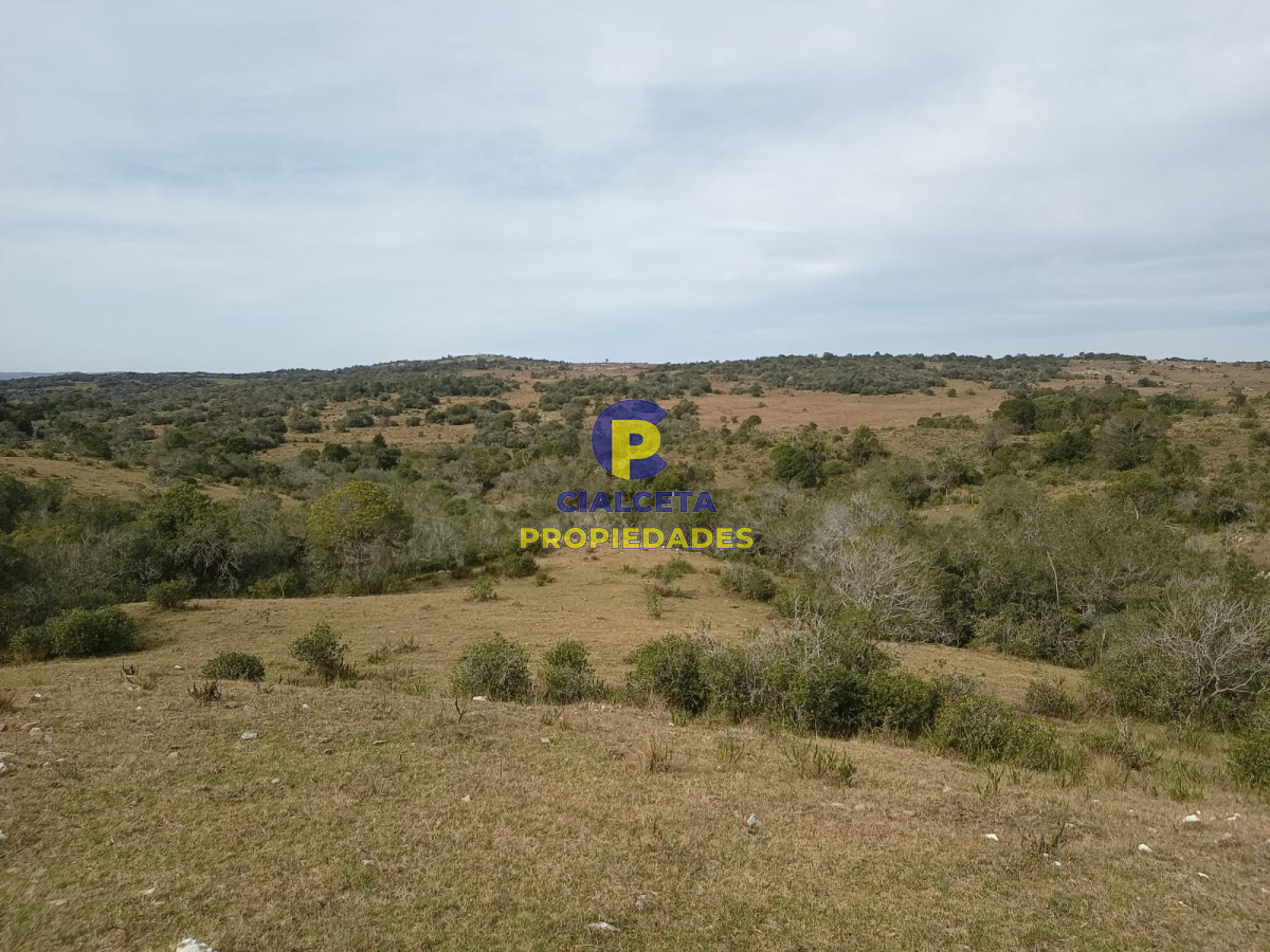 Campo Ref.491 - 80 hectáreas en Maldonado