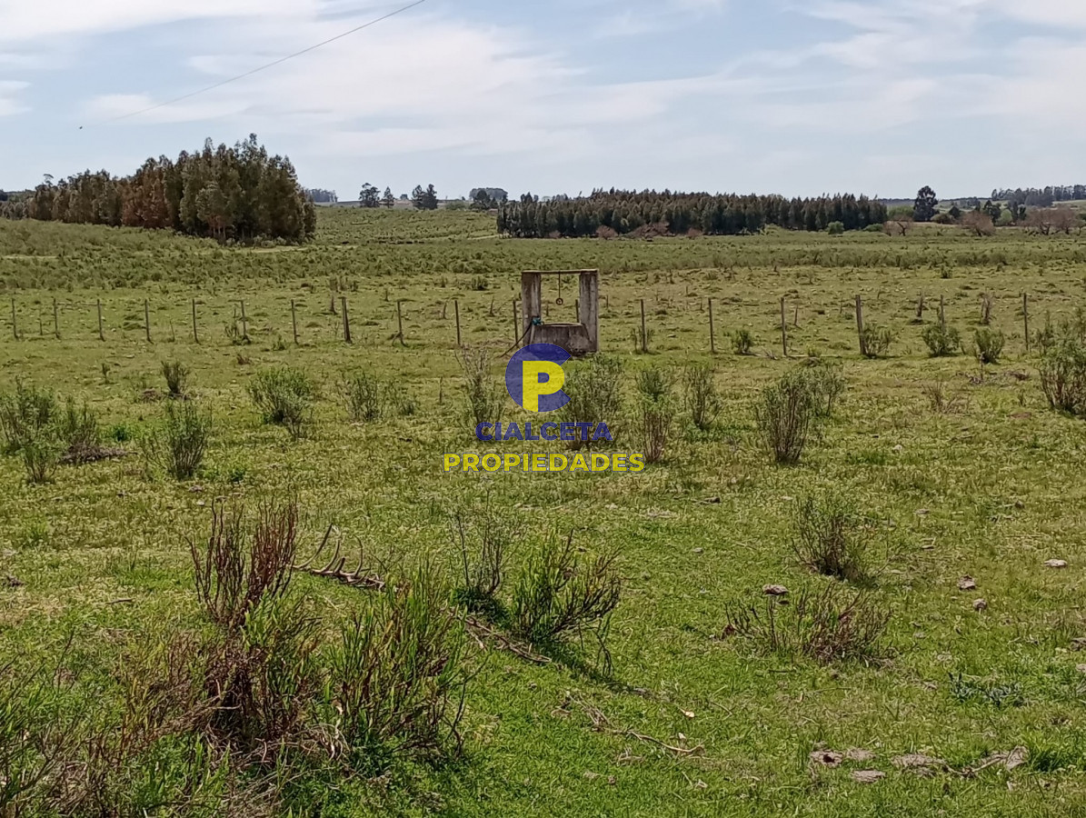 Campo Ref.313 - 73 hectáreas en Canelones