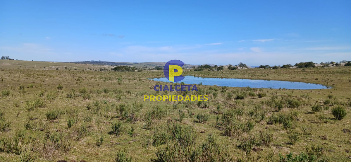 Campo Ref.308 - 395 hectáreas en Lavalleja