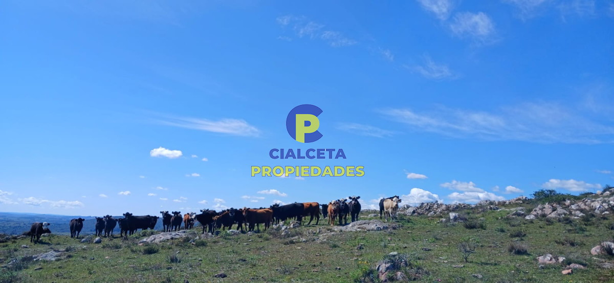 Campo Ref.541 - 268 hectáreas en Lavalleja,turístico