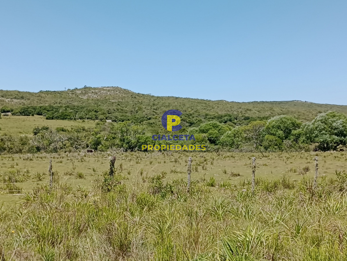 Campo Ref.77 - 419 hectáreas en Rocha