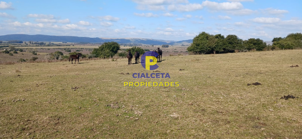 Campo Ref.475 - 386 hectáreas en Maldonado