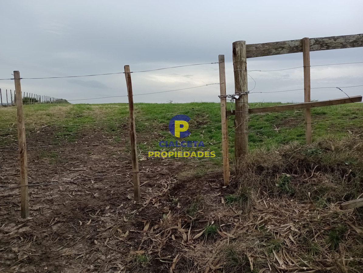 Campo Ref.293 - 15 hectáreas en Maldonado