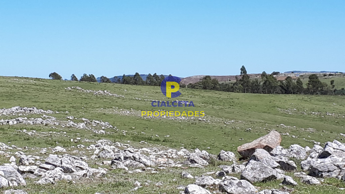 Campo Ref.323 - 115 hectáreas en Lavalleja