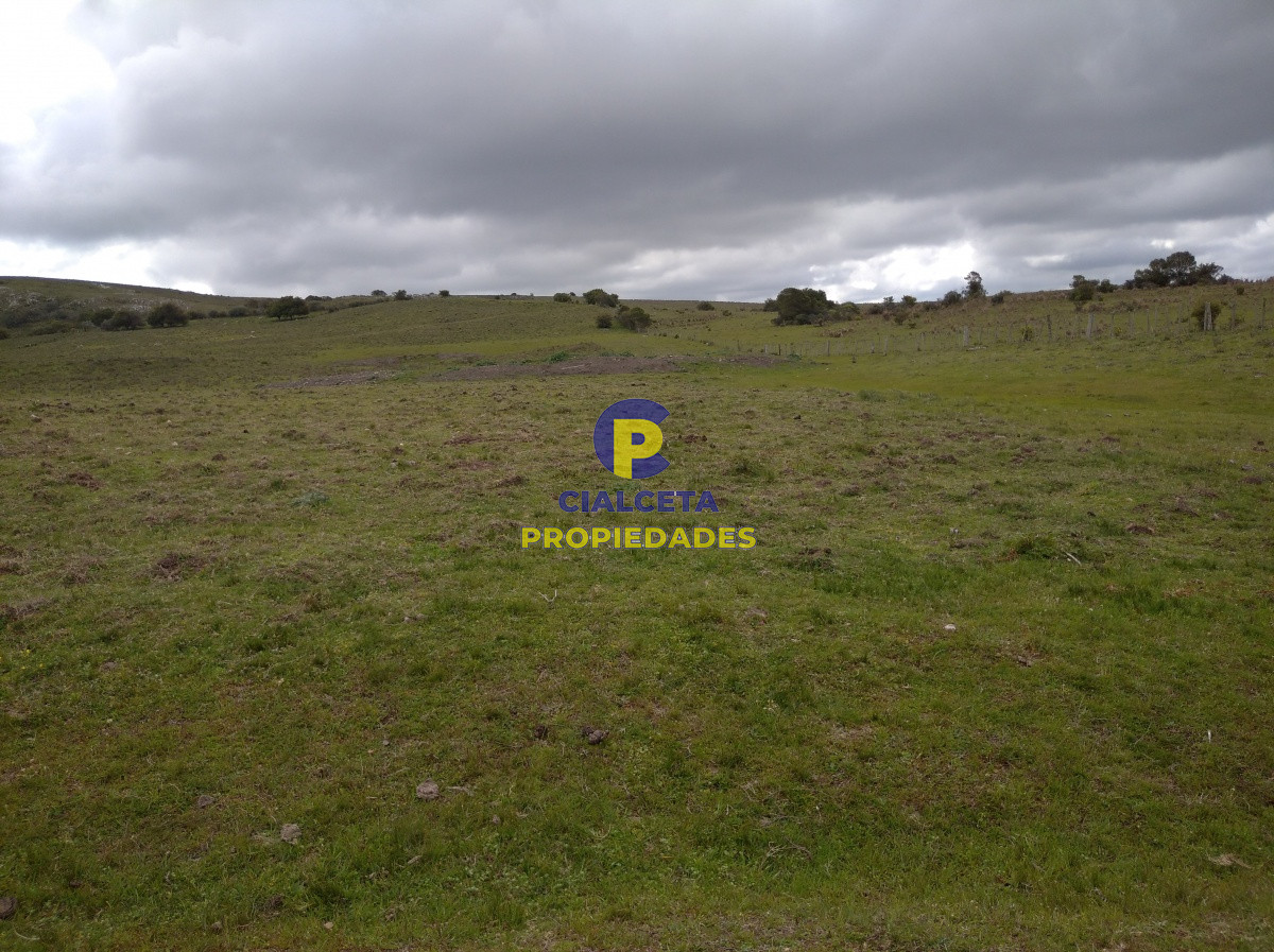 Campo Ref.91 - 267 hectáreas en Maldonado