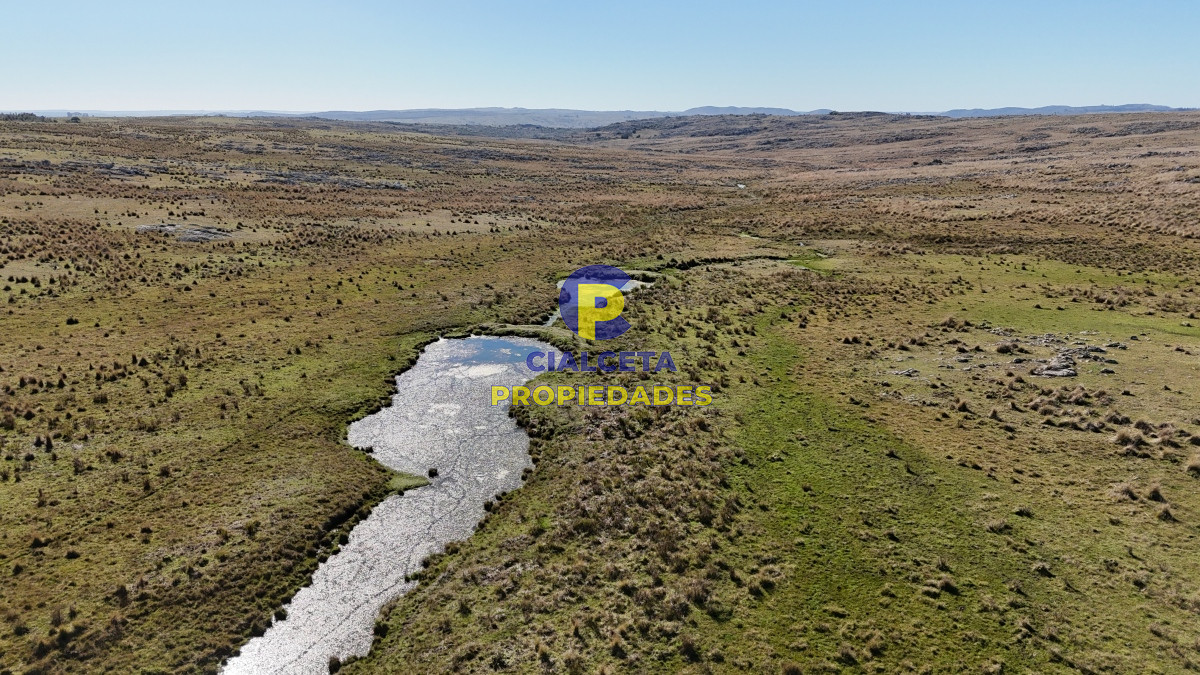 Campo Ref.494 - 140 hectáreas a 3.000 dólares la hectárea