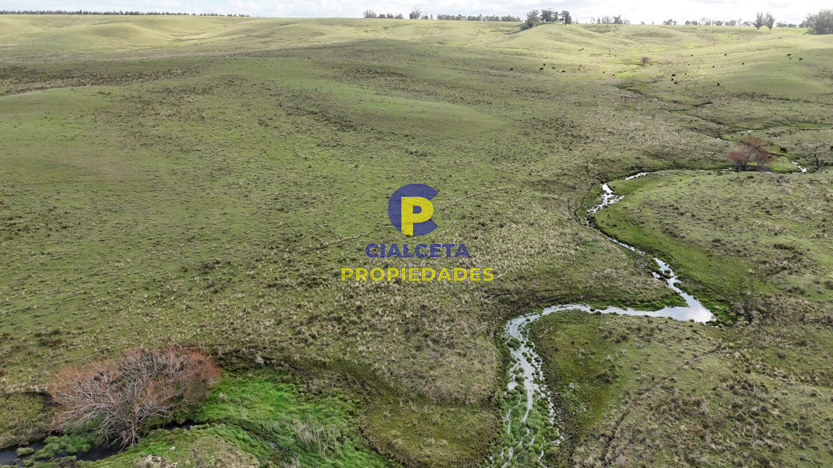 Campo Ref.454 - 430 hectáreas en Minas