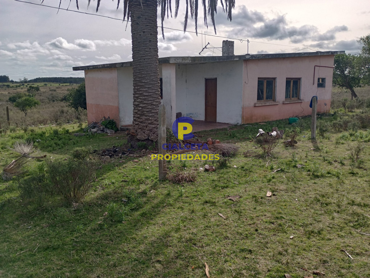 Campo Ref.271 - 21 hectáreas con 8.366 metros en Canelones