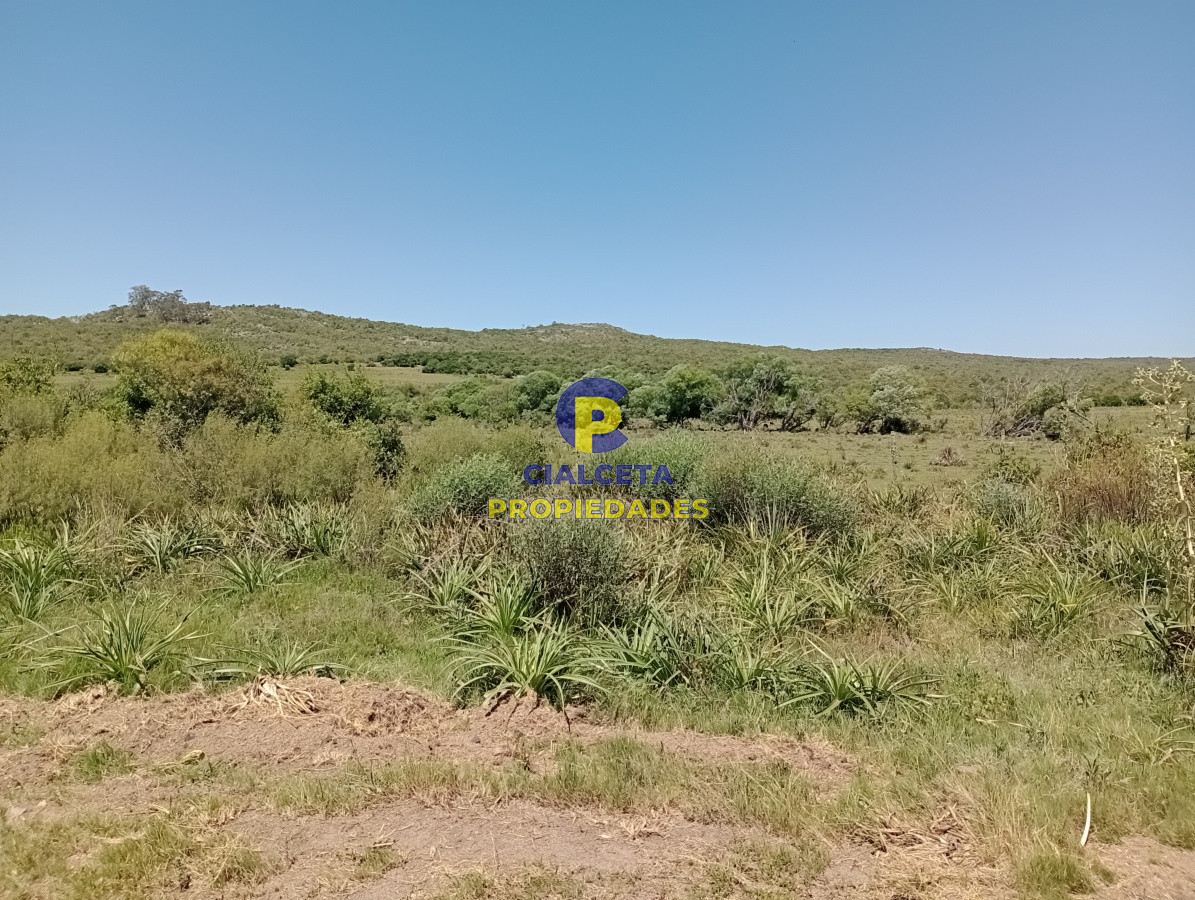 Campo Ref.77 - 419 hectáreas en Rocha
