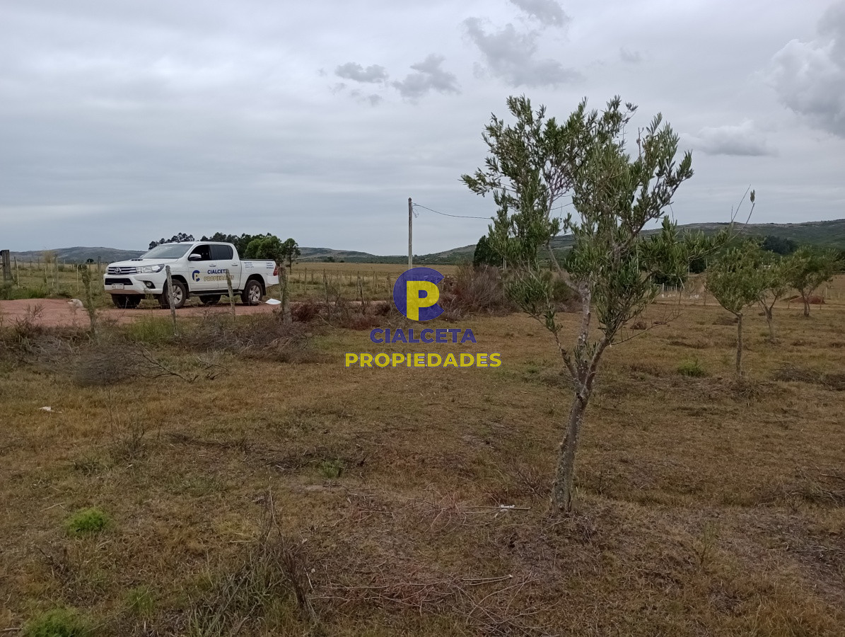 Campo Ref.111 - 5 hectáreas con olivos en Maldonado