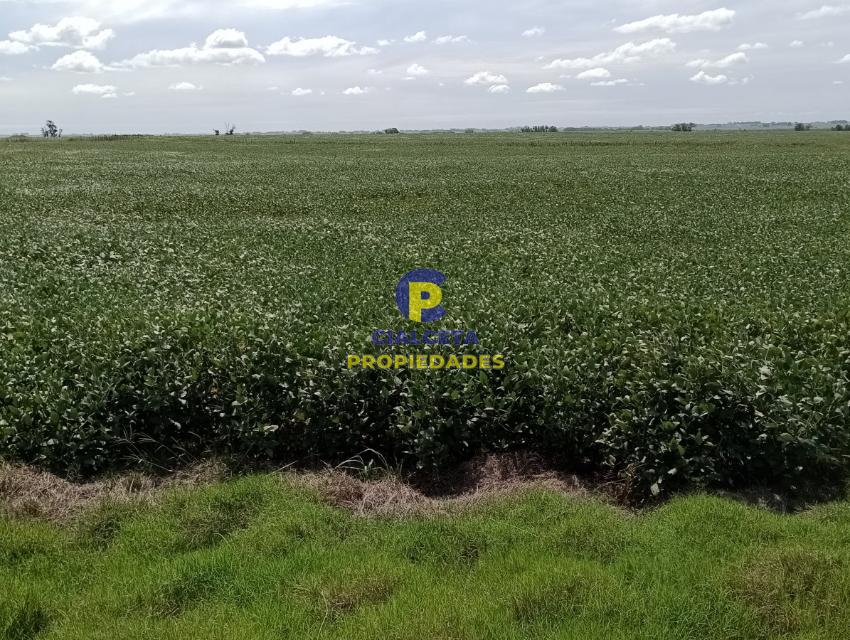 Campo Ref.68 - 350 hectáreas en lavalleja