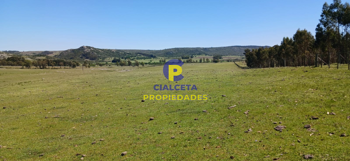Campo Ref.324 - 215 hectáreas en Lavalleja