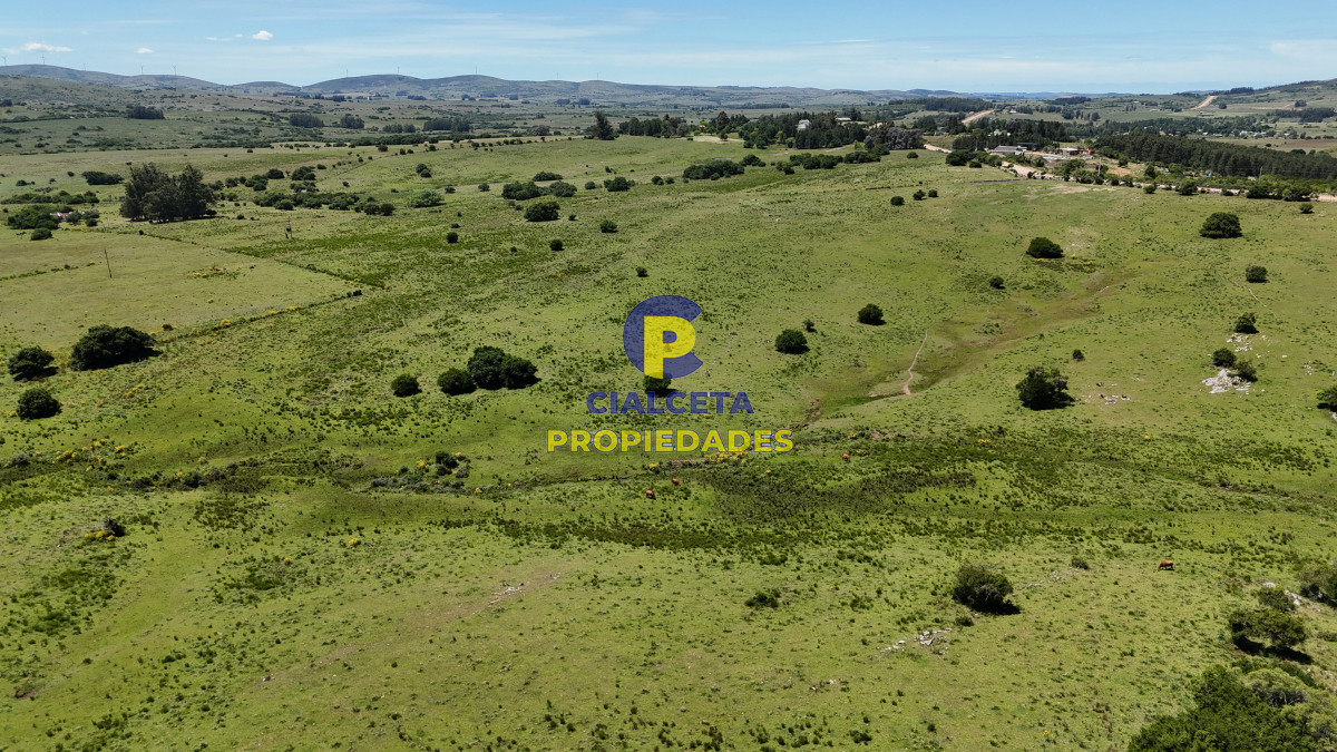 109 hectáreas en Maldonado - GoPunta - Portal Inmobiliario de Punta del Este - Maldonado