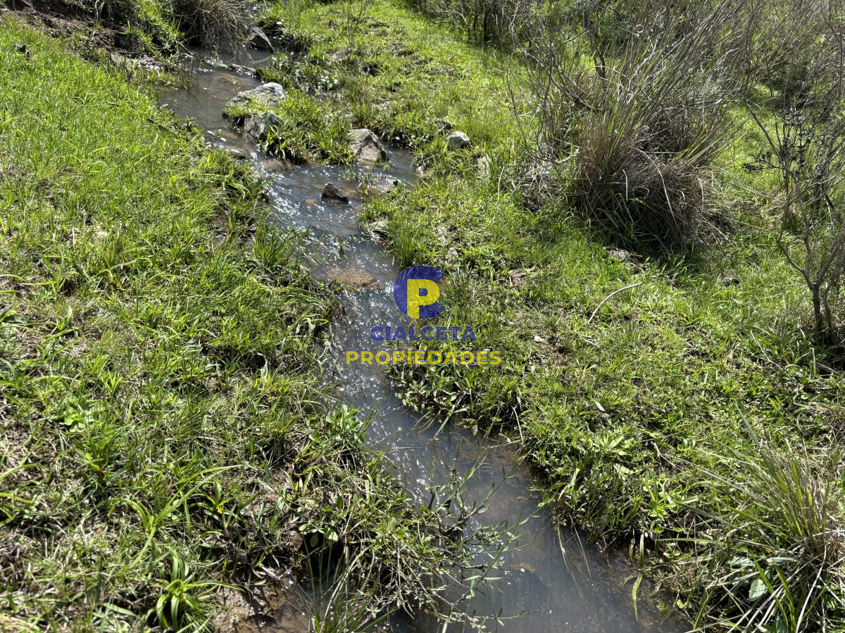 Campo Ref.534 - 3 hectáreas con cañada a 25 km de San Carlos, financiadas