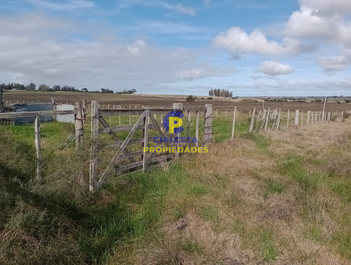 Campo Ref.280 - 102 hectáreas en Canelones