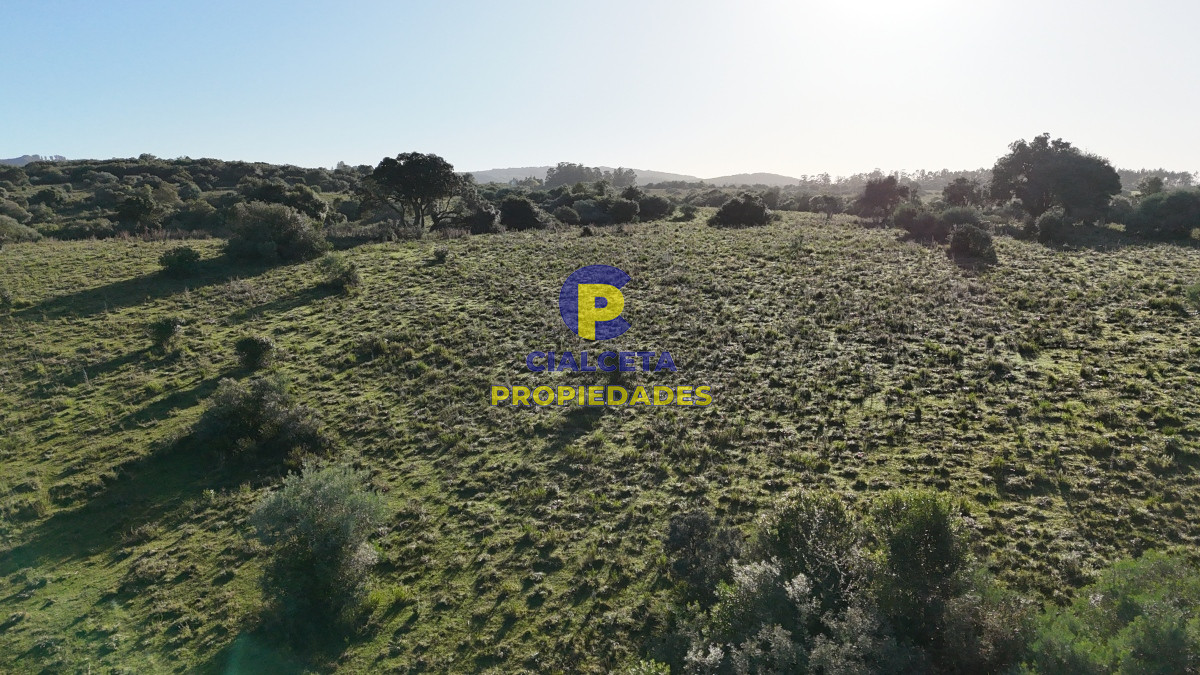 Campo Ref.457 - 28 hectáreas con cañada y monte nativo, Maldonado