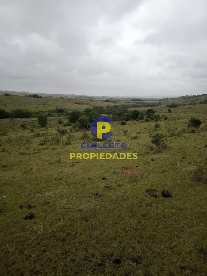 108 hectáreas a 12 km de Garzón - GoPunta - Portal Inmobiliario de Punta del Este - Maldonado