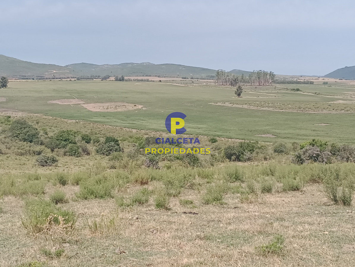 Campo Ref.79 - 170 hectáreas en lavalleja