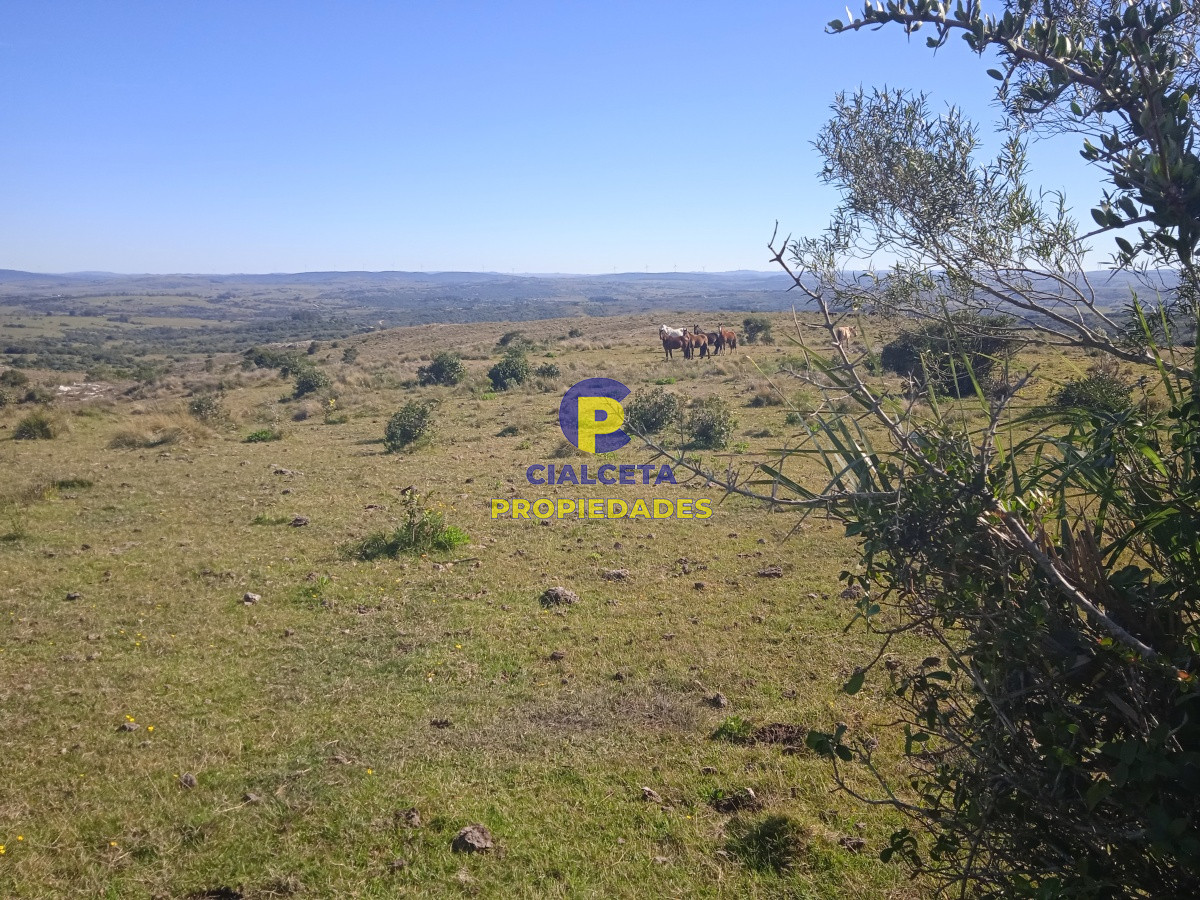 Campo Ref.203 - 5 hectáreas en las Cañas