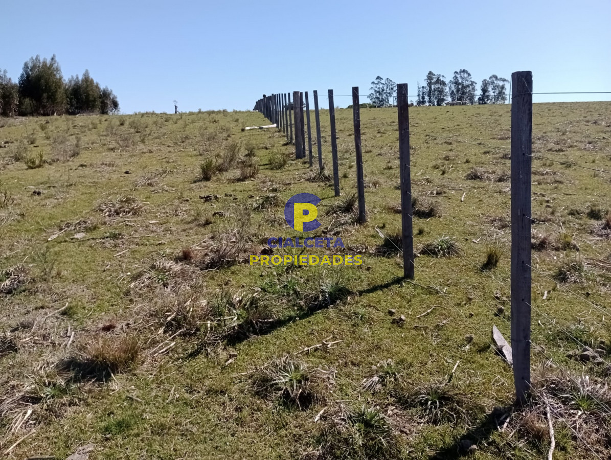 Campo Ref.307 - 16 hectáreas en Maldonado
