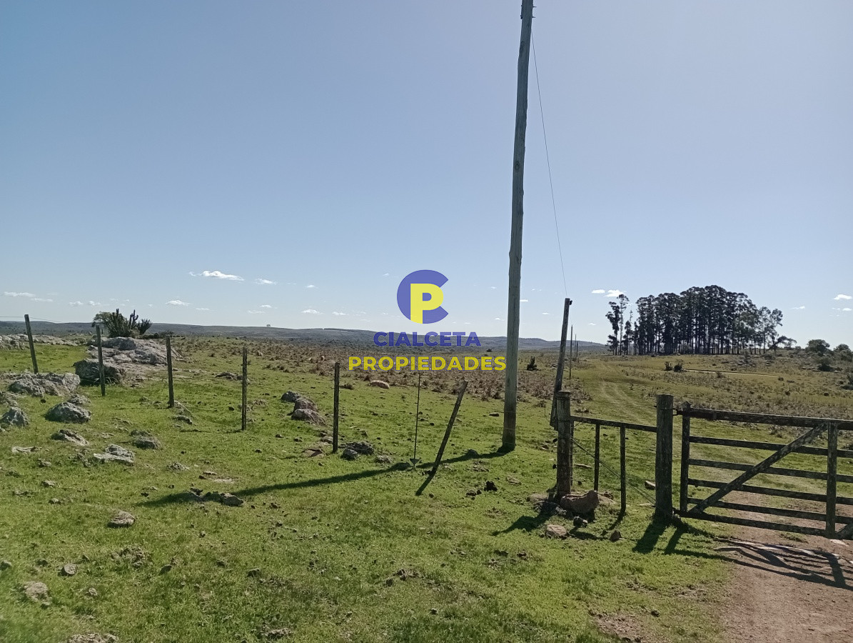 Campo Ref.136 - 811 hectáreas en Treinta y Tres