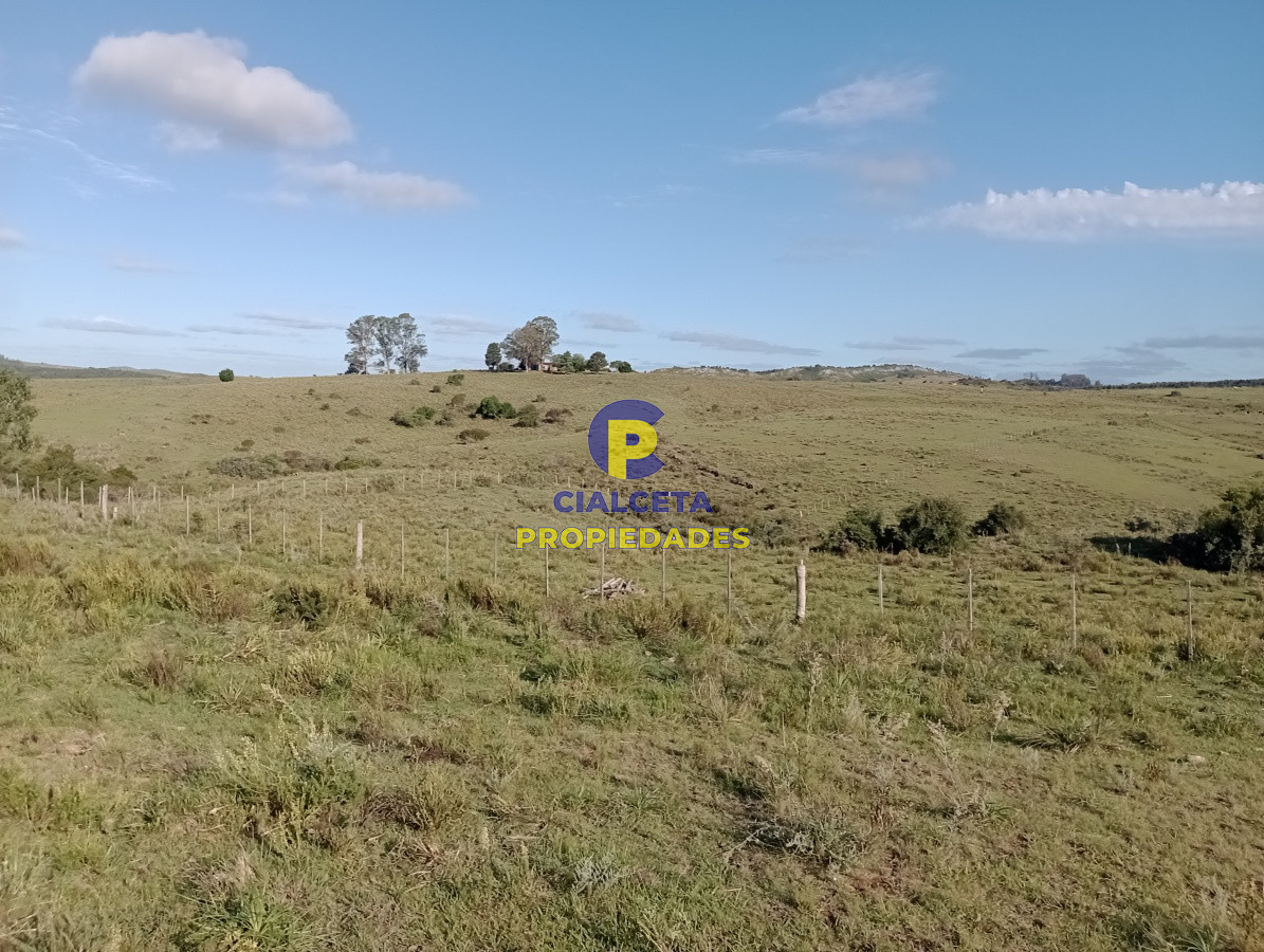 Campo Ref.140 - 153 hectáreas en Maldonado