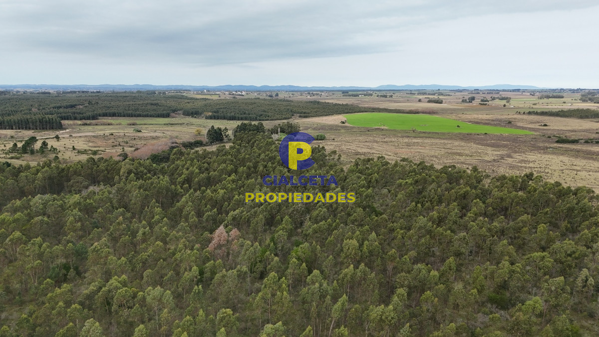 Campo Ref.449 - 39 hectáreas y media en Canelones