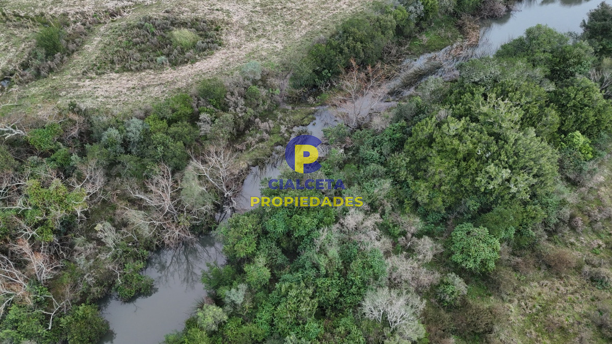 Campo Ref.461 - 60 hectáreas con arroyo y cañada en Maldonado