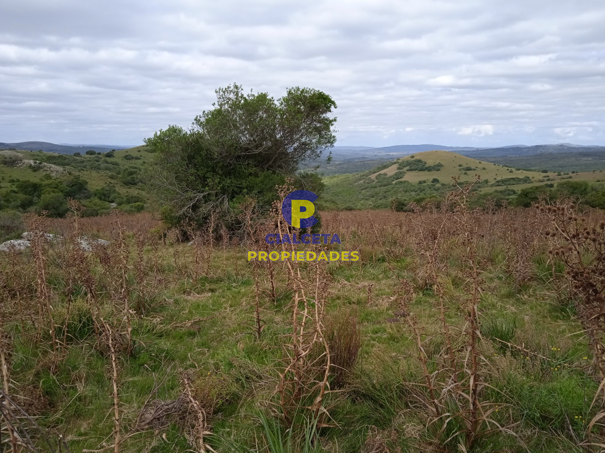 Campo Ref.130 - 29 hectáreas en maldonado
