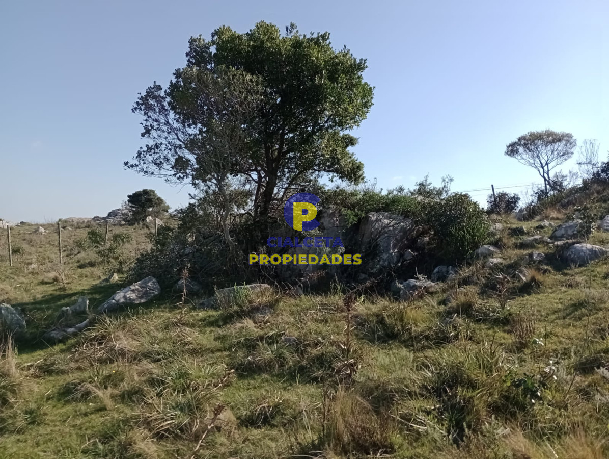 Campo Ref.189 - 7 hectáreas en Maldonado, sobre camino