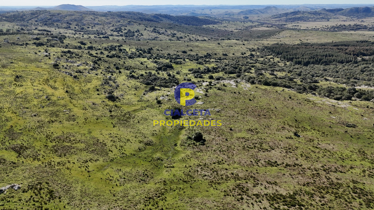 Campo Ref.511 - 29 hectáreas en Lavalleja