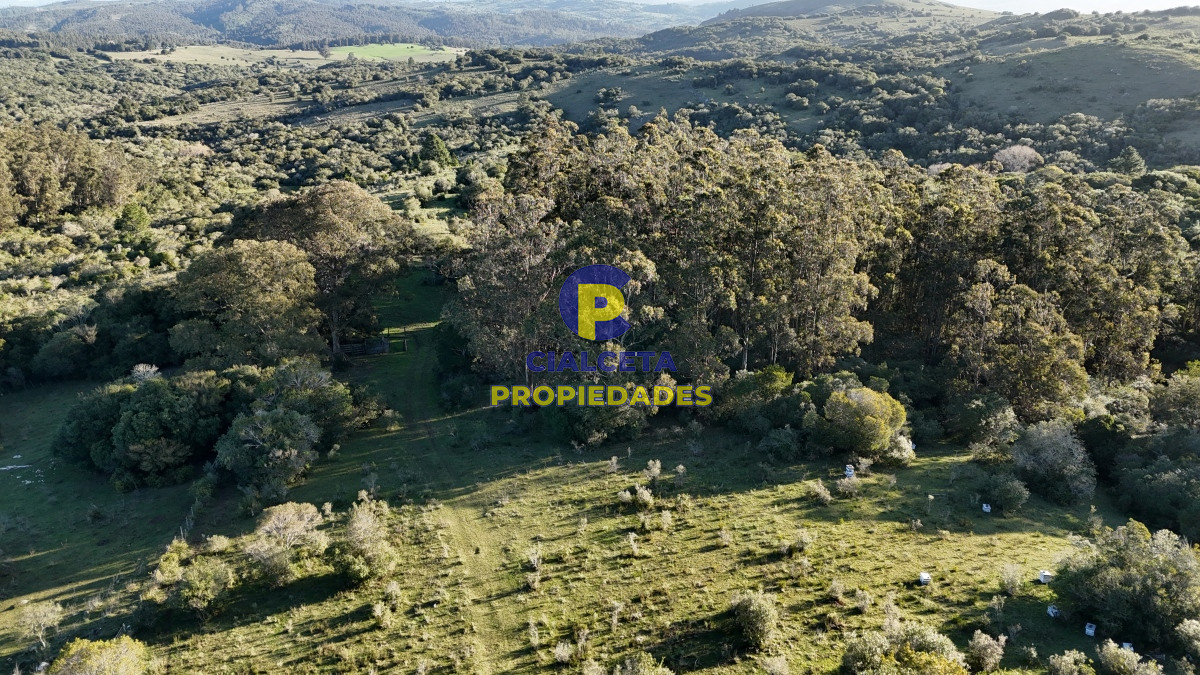 Campo Ref.526 - 60 hectáreas con casa , monte nativo, hermoso lugar